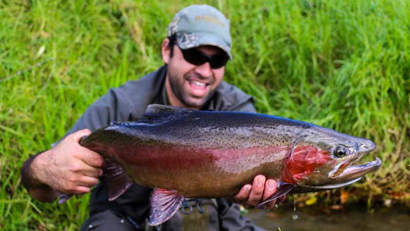 Join local fishing legend Dion for a full on day of trout fishing action in the beautiful waterways of Rotorua!